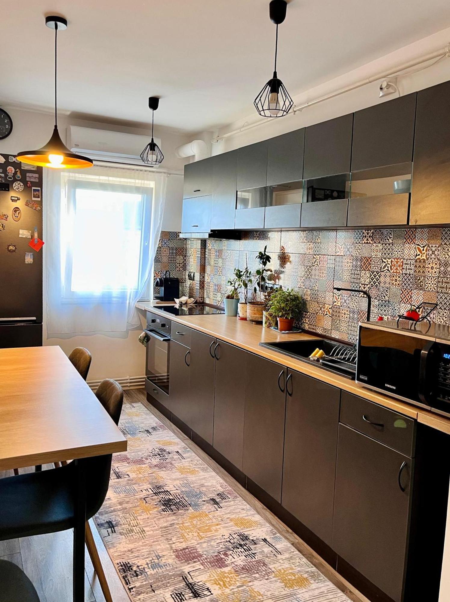Comfortable Baia Mare Apartment Dış mekan fotoğraf