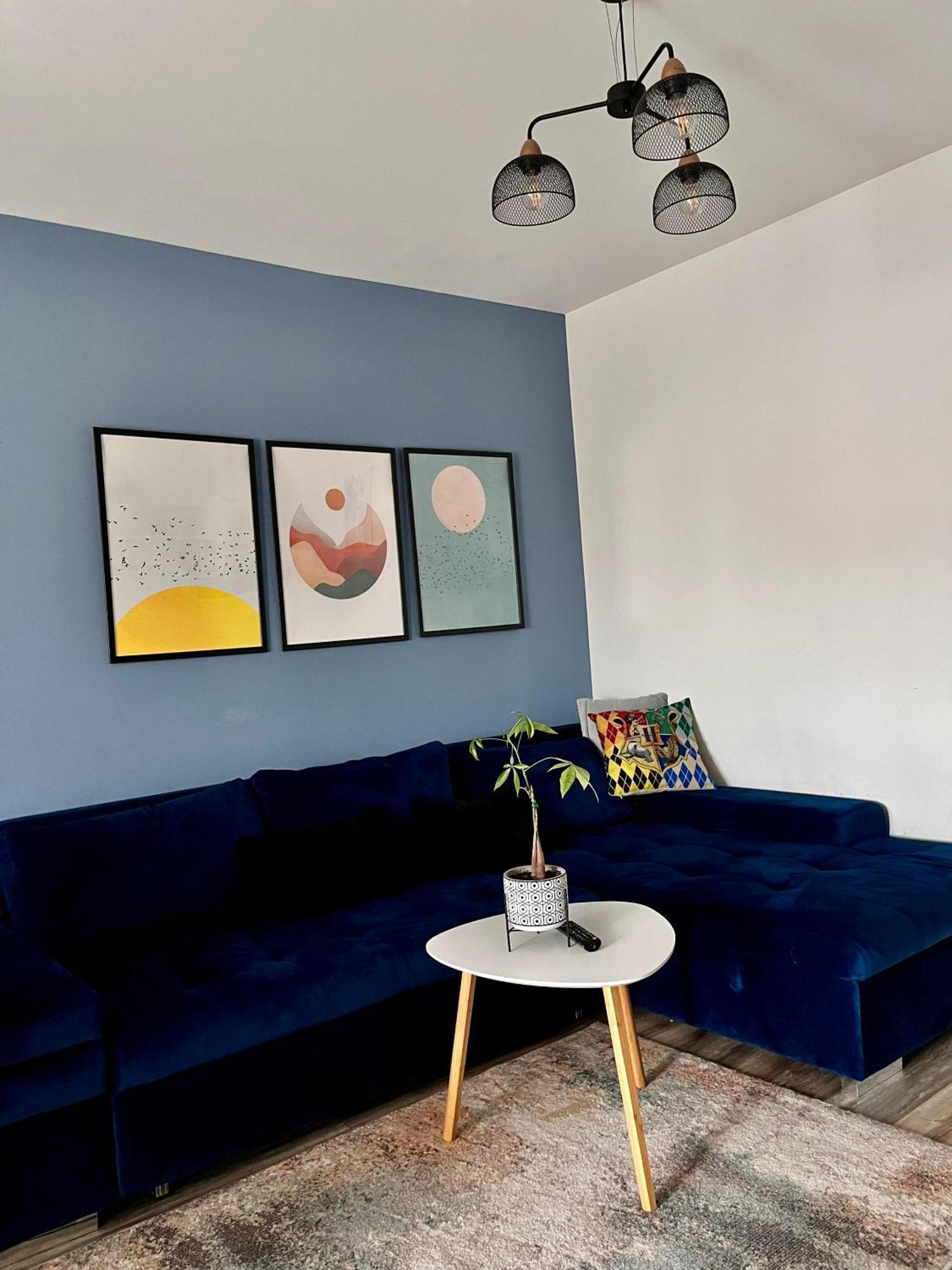 Comfortable Baia Mare Apartment Dış mekan fotoğraf