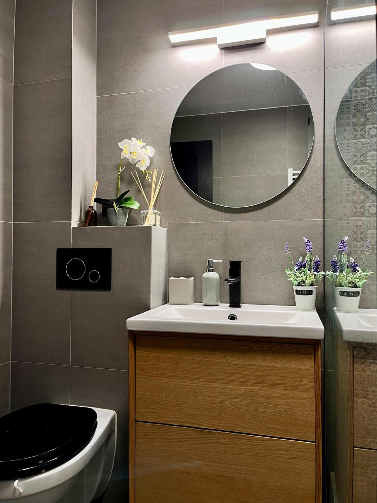 Comfortable Baia Mare Apartment Dış mekan fotoğraf